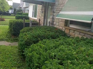 Bush Trimming by Elisha Nelson for Joe A. in Columbus, OH