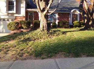 Leaf Removal by KK Green Grass for Sadie O. in Lenexa, KS
