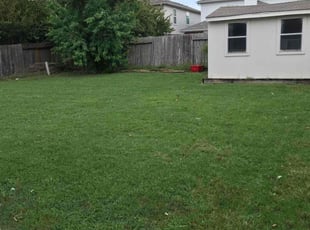 Rosilene B.'s Lawn Mowing service result