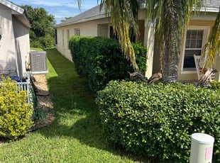 Susan F.'s Lawn Maintenance service result