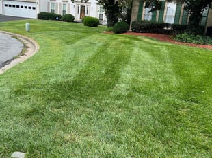 Robin L.'s Lawn Mowing Service service result