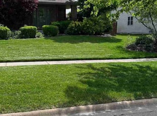 Beth H.'s Lawn Mowing service result
