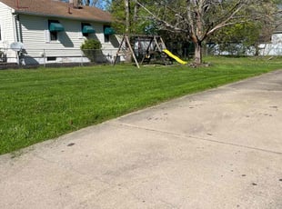 Mario Y.'s Lawn Maintenance service result