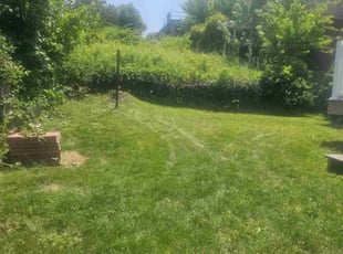 Bush Trimming by Jason Galie for Nathaniel G. in Pittsburgh, PA