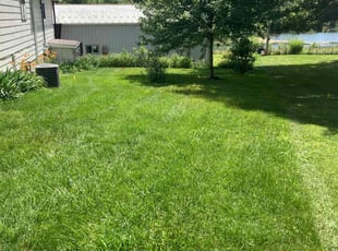 Ken B.'s Yard Cutting service result
