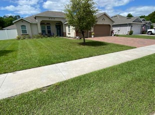 Scott C.'s Lawn Mowing service result