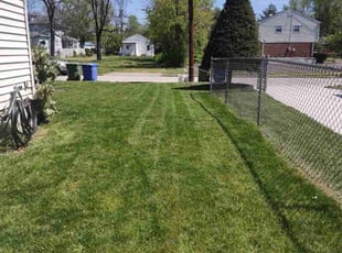 Kenneth G.'s Lawn Care service result