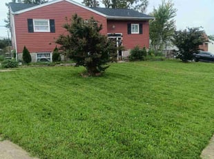 Donna C.'s Grass Cutting service result