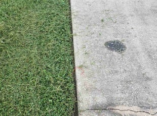 Barbara C.'s Lawn Care service result