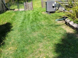 Edward J.'s Yard Cutting service result