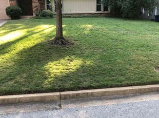 Layla C.'s Lawn Care service result