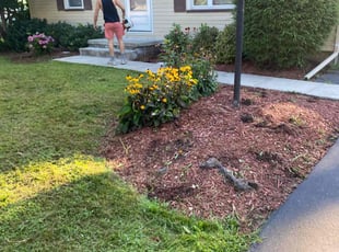 Weeding by James Serio for Michael S. in Rochester, NY