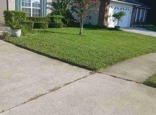Mike S.'s Lawn Mowing service result
