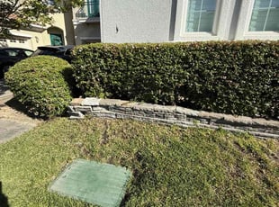 Bush Trimming by Maria Almendra for Atul K. in Dublin, CA