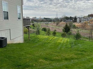Angela B.'s Grass Cutting service result