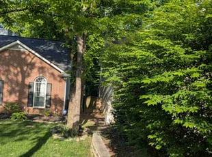 Earl S.'s Lawn Service service result