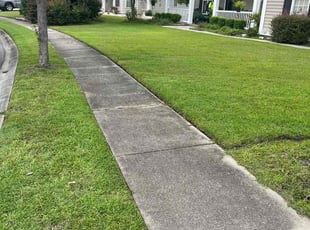 Kaylah W.'s Lawn Mowing service result