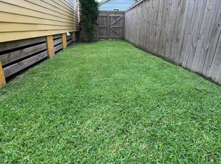 Terry N.'s Lawn Care service result