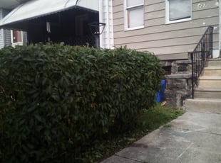 Bush Trimming by Charles Pease for Ryann L. in Philadelphia, PA