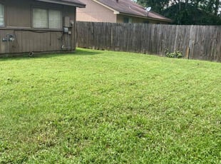 Anne D.'s Lawn Service service result
