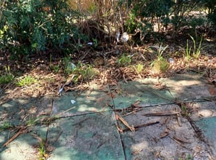Cleanups by Roberto Hernandez for Seben K. in West Palm Beach, FL