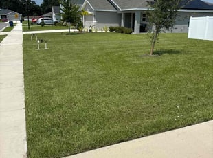 Preeya M.'s Lawn Mowing Service service result