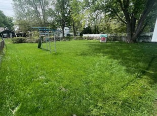 Lisa S.'s Lawn Service service result