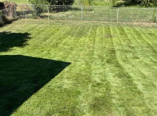 Andrew D.'s Lawn Mowing service result