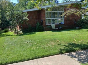 Michael B.'s Lawn Mowing service result