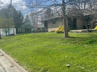 Mark K.'s Lawn Care service result
