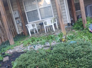 Cleanups by Allan Roberts for Emira V. in Sterling, Vi
