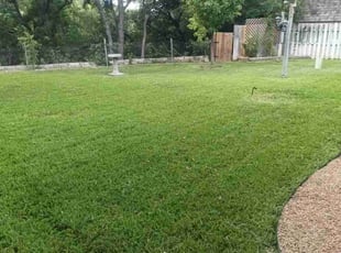 Nicole M.'s Lawn Maintenance service result