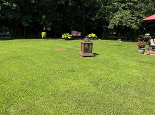 Donald H.'s Lawn Care service result