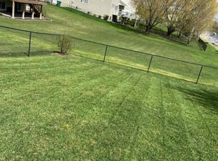 Cheryl G.'s Lawn Maintenance service result