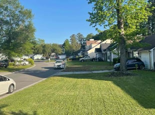 Sherwyn C.'s Lawn Mowing service result
