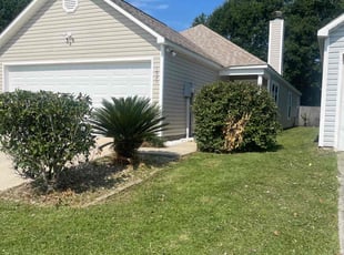 Bush Trimming by Carl George for Sarah S. in Baton Rouge, LA