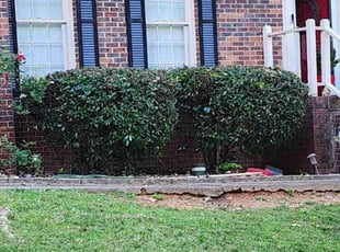 Bush Trimming by Willie P for Michael H. in Stone Mountain, GA