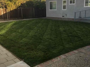 Mark S.'s Lawn Care service result