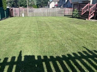 Lynn N.'s Lawn Care service result