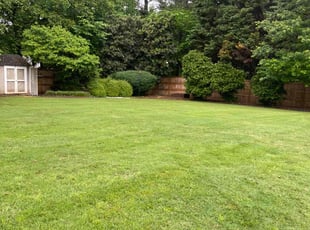 Leonard C.'s Lawn Service service result