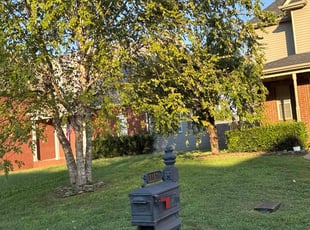 Haleigh C.'s Lawn Maintenance service result