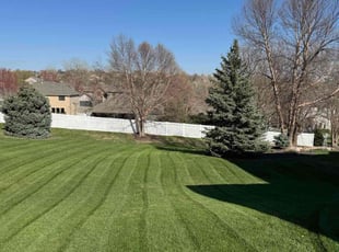 Bea W.'s Lawn Care service result