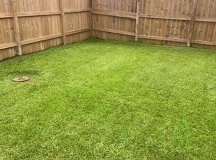 Cleanups by Kirk Romainey for Gretchen C. in Metairie, LA
