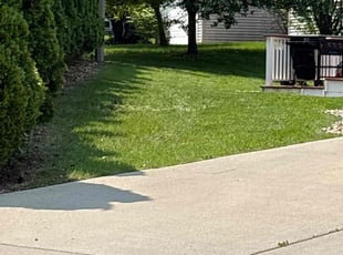 Leaf Removal by Jennifer Rose for Matt B. in Madison, WI