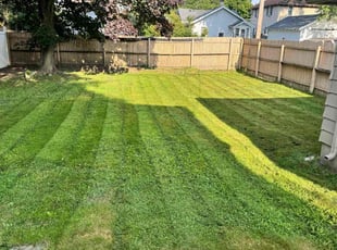 Bill W.'s Lawn Mowing service result