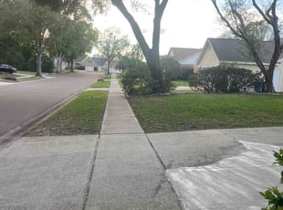 Bethanie P.'s Lawn Service service result