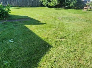 Mary Anne M.'s Grass Cutting service result