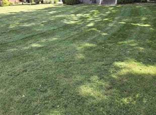 Kelly M.'s Lawn Service service result
