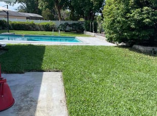 William T.'s Yard Cutting service result
