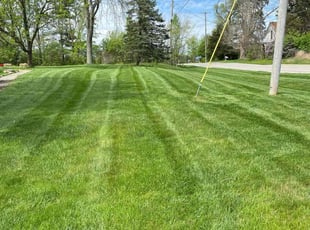 Robert L.'s Lawn Mowing Service service result